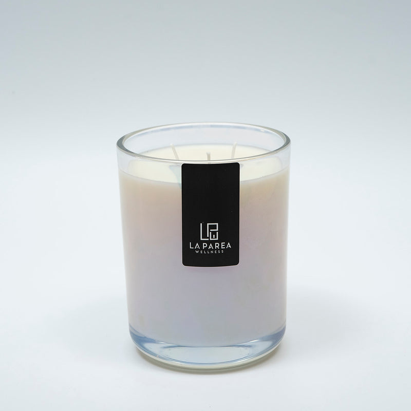 Bamboo Tree Luxury Soy Wax 30oz Candle